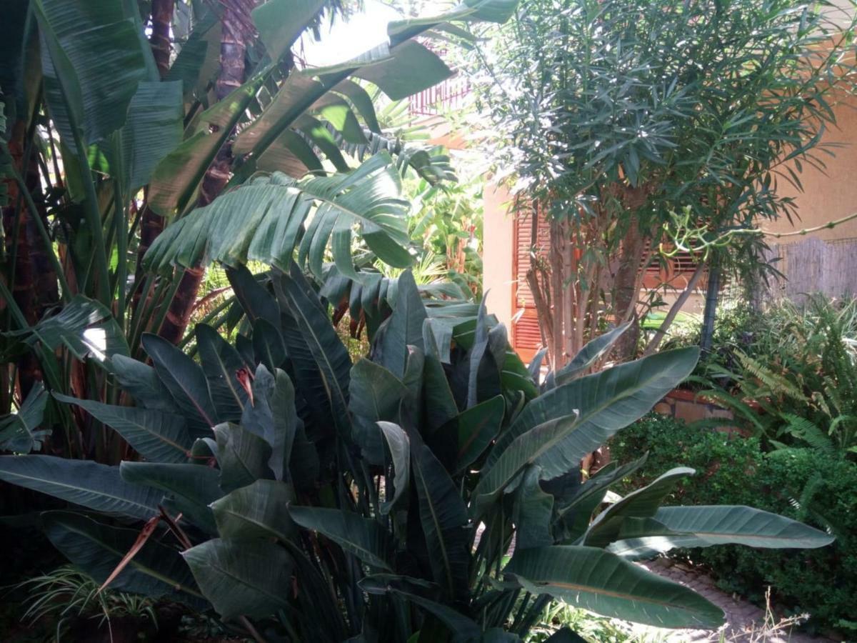 Stanza In Villa Con Giardino Vista Mare Cefalu Exterior photo