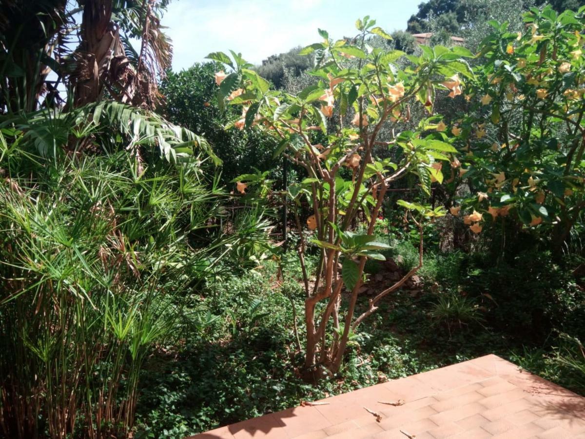 Stanza In Villa Con Giardino Vista Mare Cefalu Exterior photo
